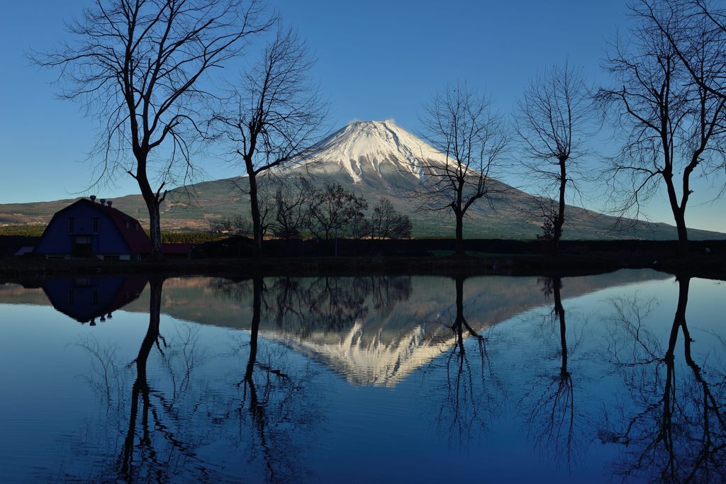 平日の富士山469