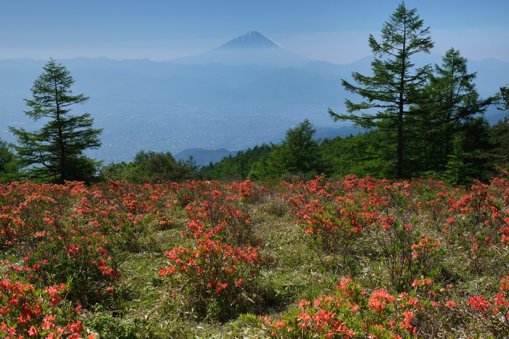 週末の富士山（新作912）
