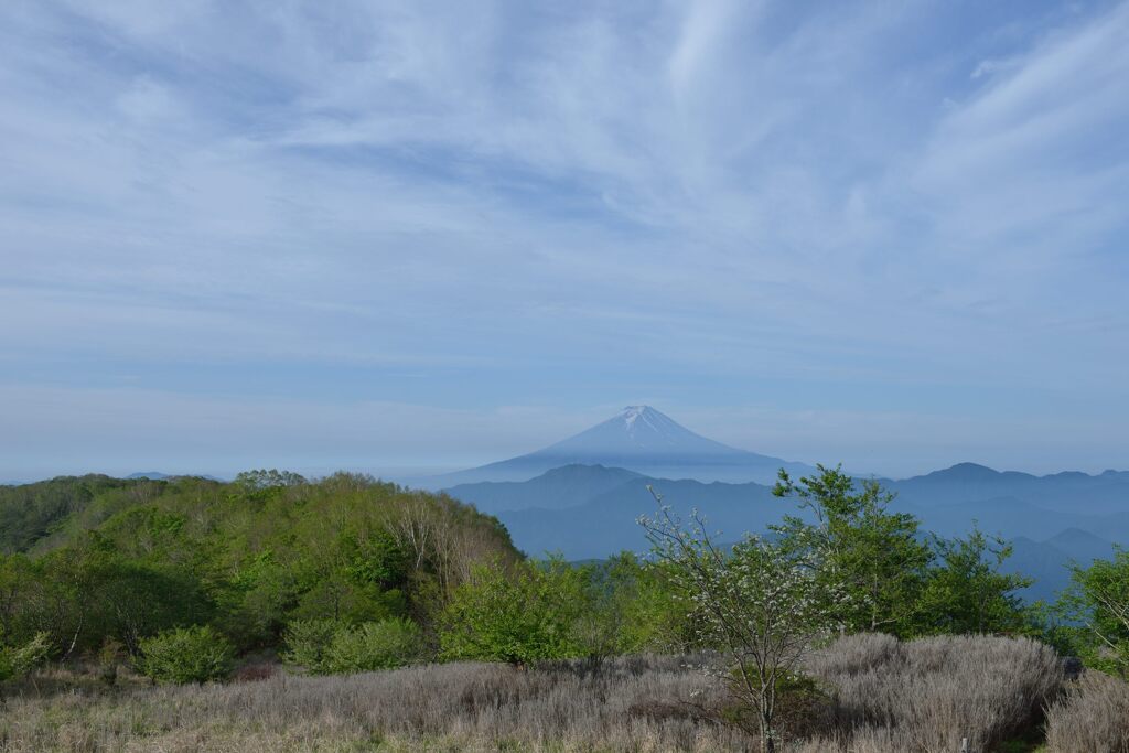 平日の富士山732