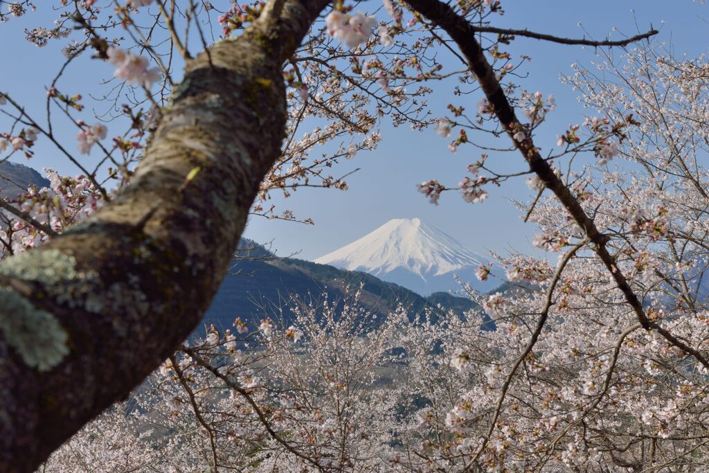 平日の富士山1092