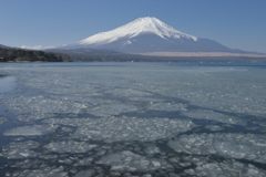 週末の富士山（新作812）