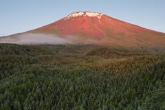 週末の富士山（新作915）