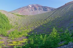 週末の富士山（新作13）