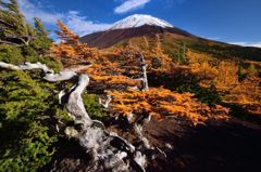 週末の富士山52