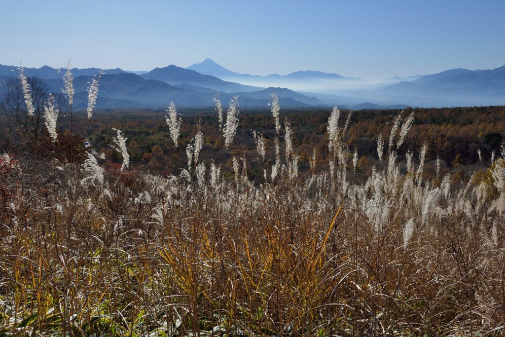 平日の富士山830