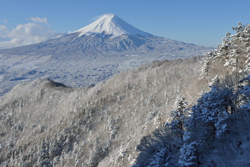 週末の富士山（新作1373）