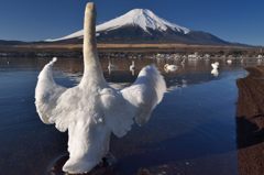 週末の富士山（新作100）