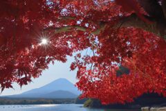 週末の富士山187