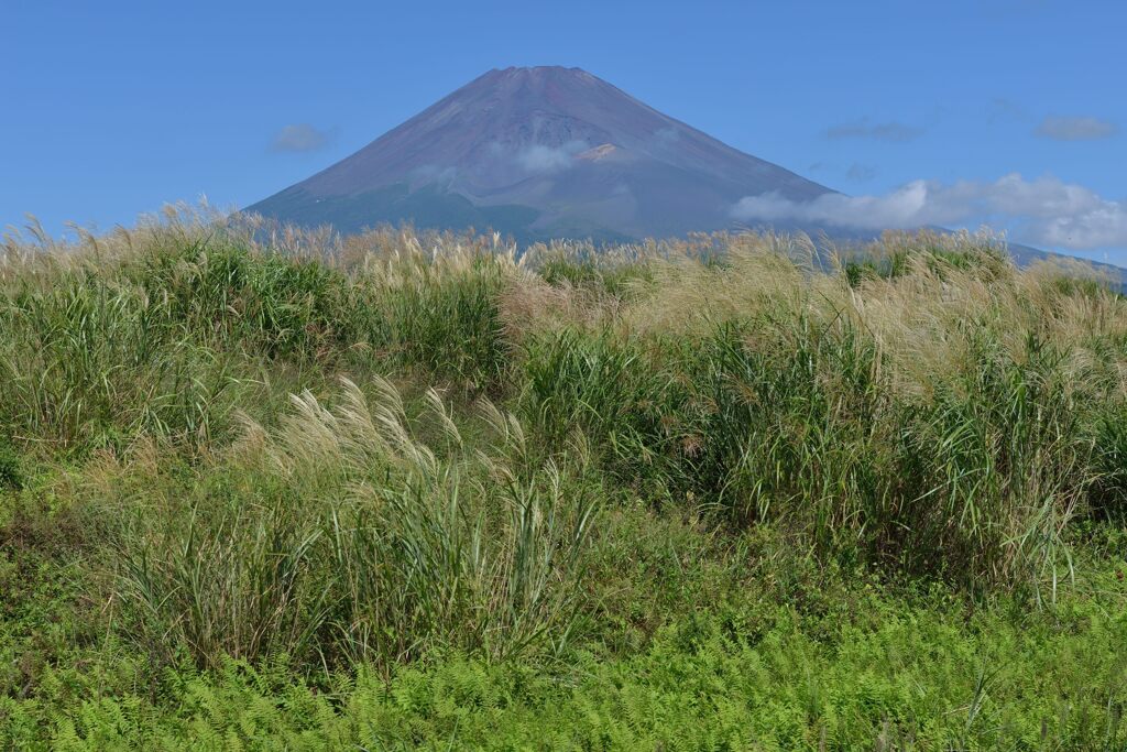 週末の富士山157
