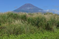 週末の富士山157
