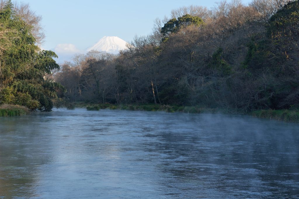 平日の富士山235