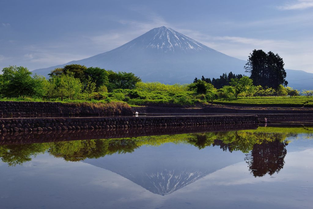 週末の富士山（新作215）