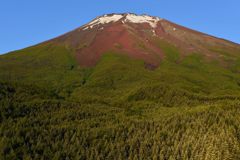 週末の富士山（新作918）