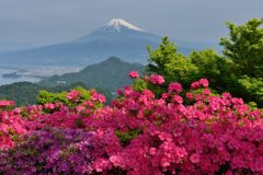 週末の富士山（新作638）