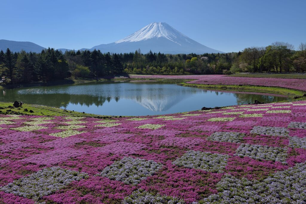 平日の富士山718