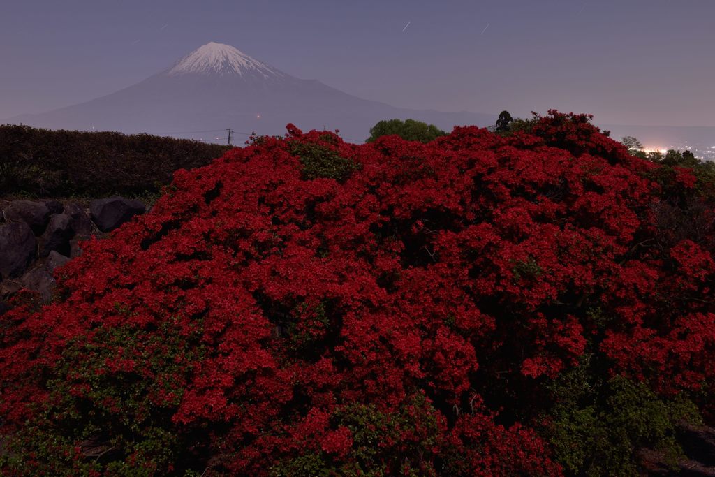 平日の富士山7