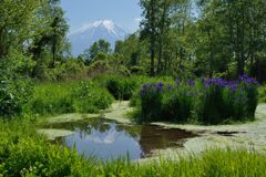 週末の富士山70