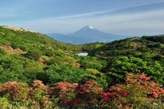 週末の富士山（新作226）