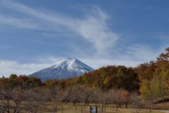 週末の富士山204