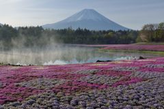 週末の富士山（新作1184）