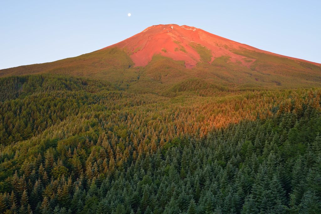 週末の富士山（新作924）