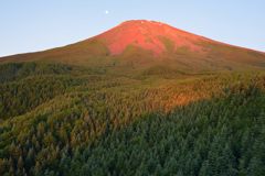 週末の富士山（新作924）