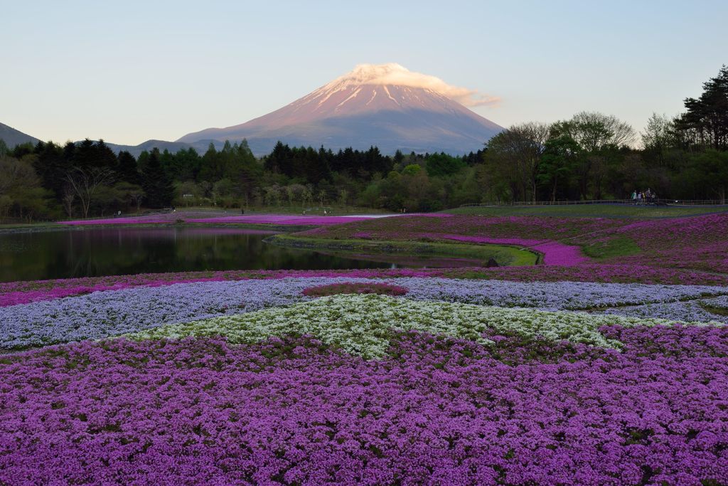 週末の富士山（新作458）