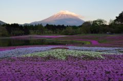 週末の富士山（新作458）