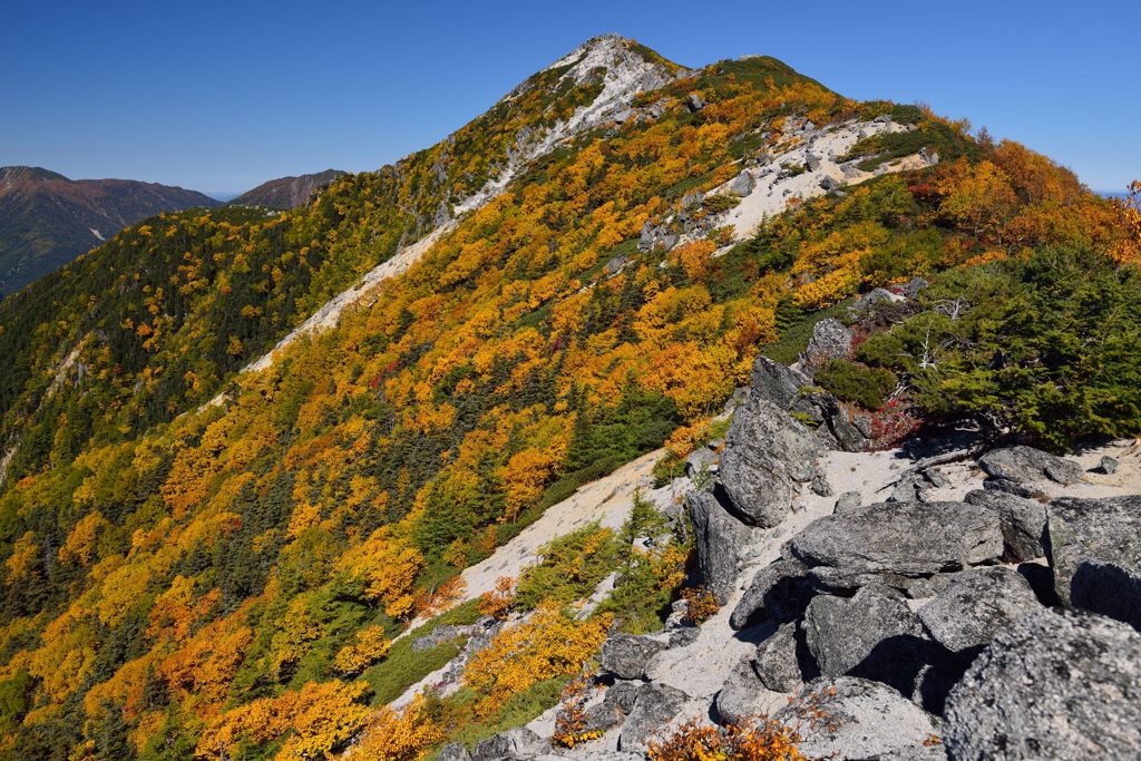 観音岳の紅葉