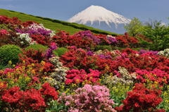 週末の富士山46
