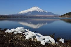 週末の富士山（新作800）