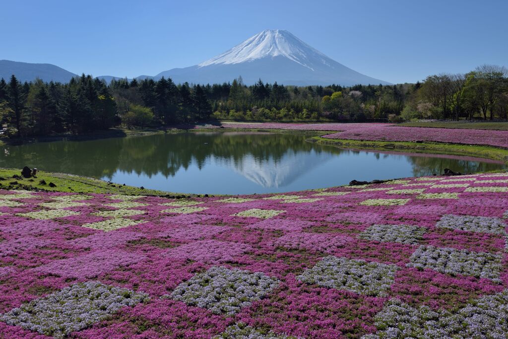 平日の富士山719