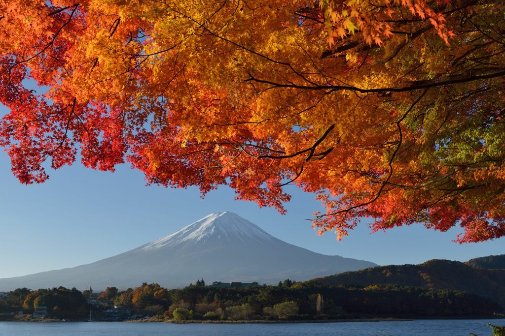 平日の富士山148