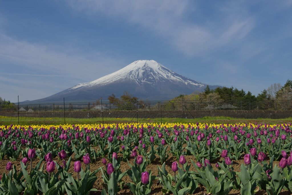 週末の富士山28