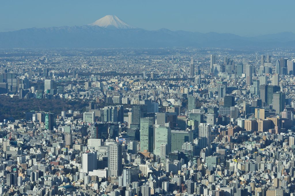 平日の富士山197