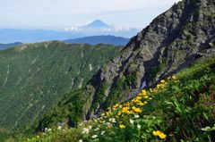 週末の富士山（新作249）