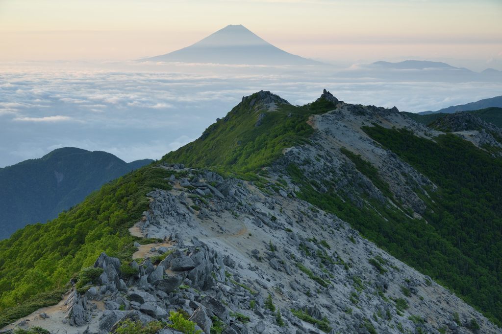 週末の富士山（新作689）