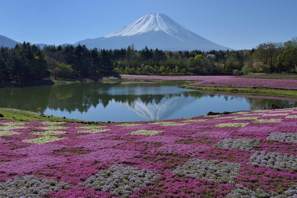 平日の富士山717