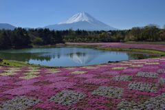 平日の富士山721