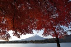 平日の富士山150
