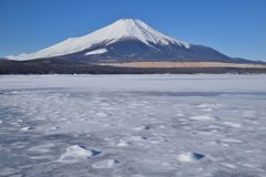 平日の富士山669