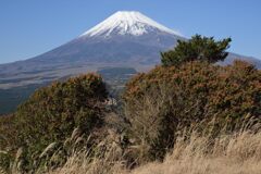 週末の富士山267