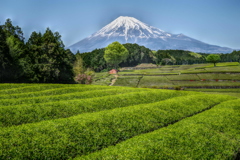 週末の富士山（新作653）