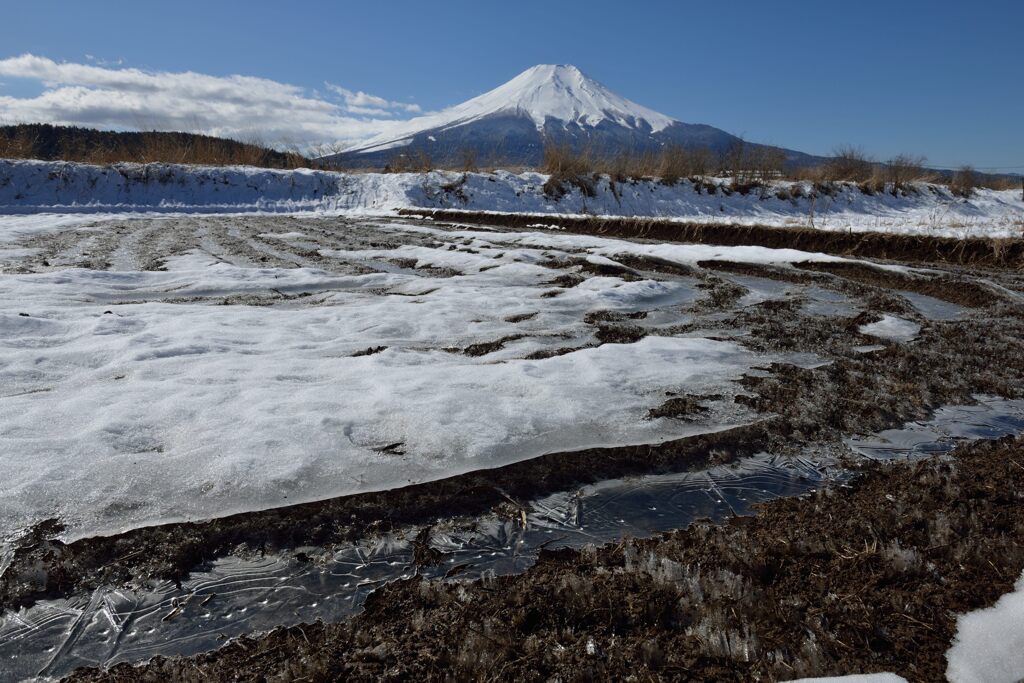 週末の富士山（新作1219）