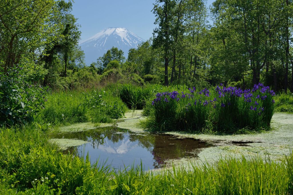 週末の富士山69