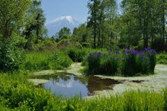 週末の富士山69