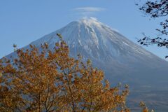 平日の富士山880
