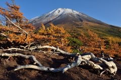 平日の富士山401