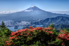 平日の富士山33