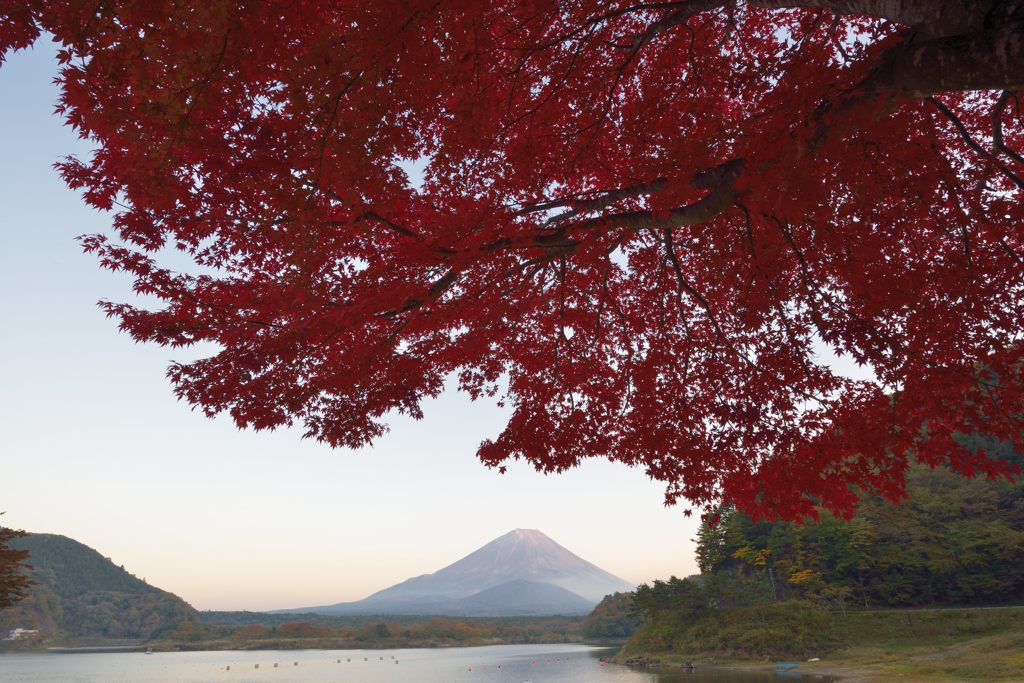 平日の富士山141